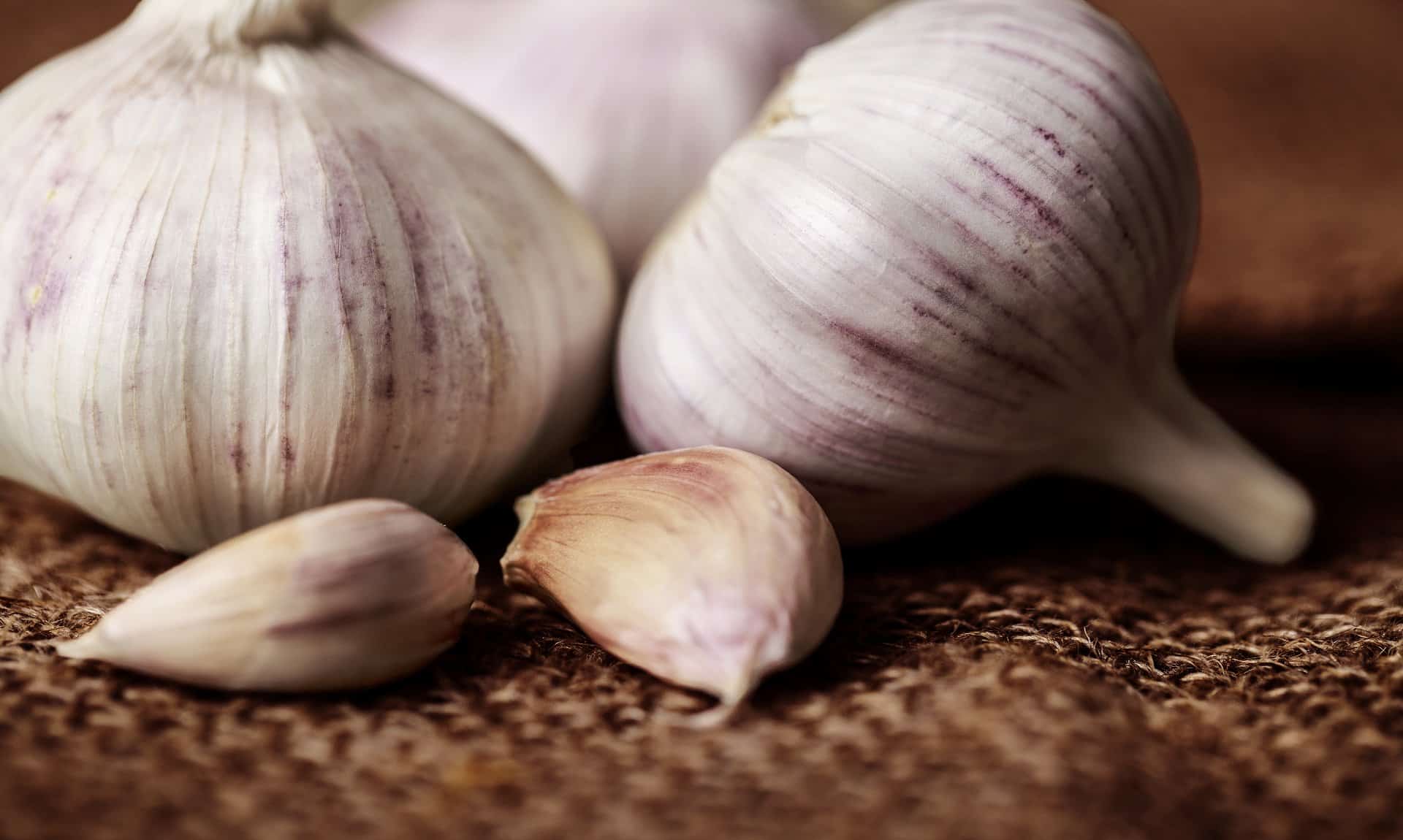 35 Health Advantages Of Eating Garlic Self Help Nirvana