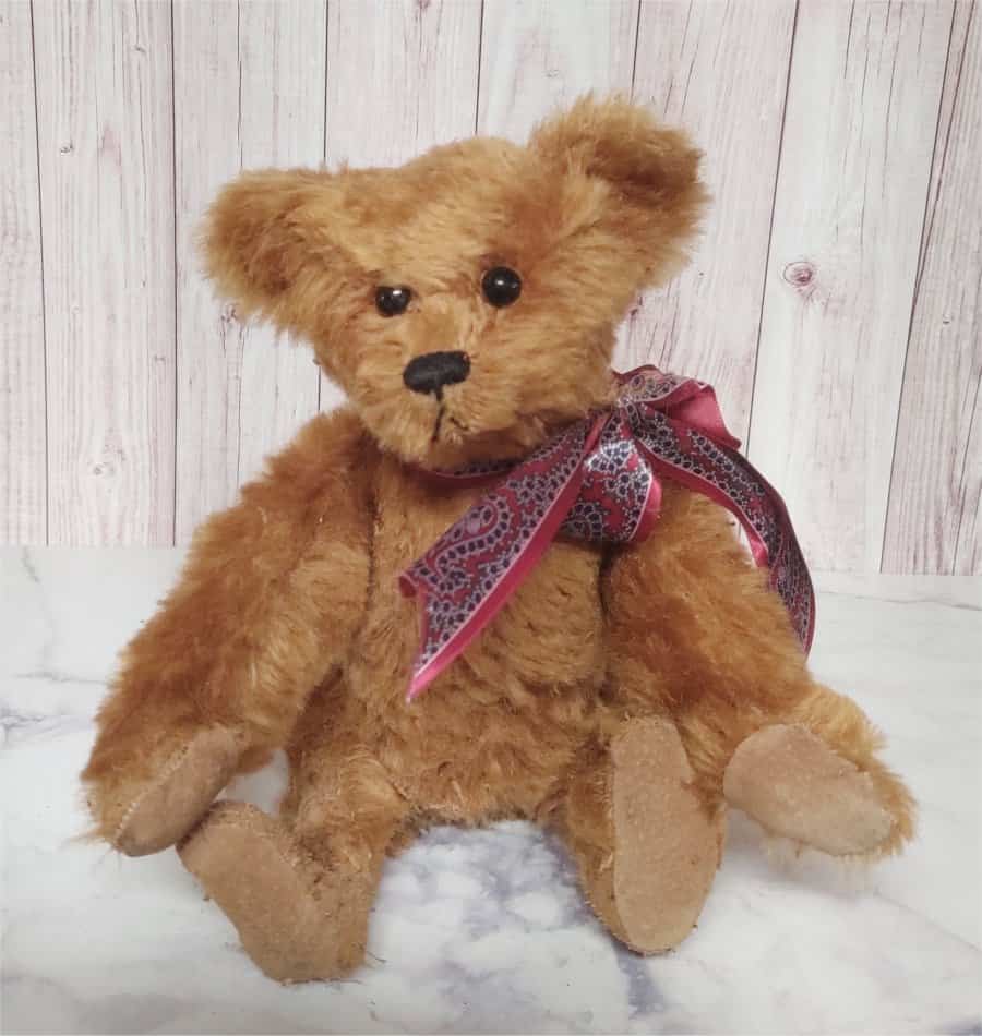 Photo of a teddy bear called Josh