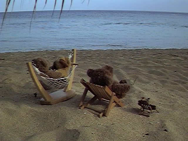 Photo of three teddy bears on the beach