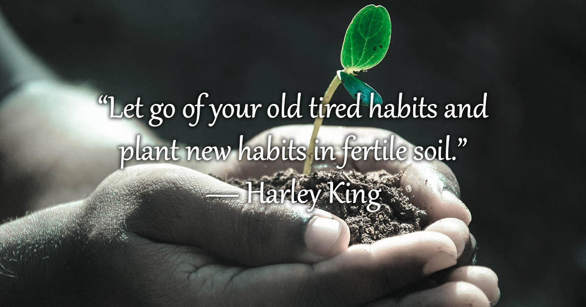 Illustrated Quote About Habits
