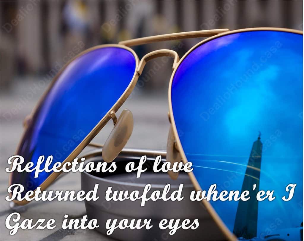 Photo of sunglasses with a haiku
