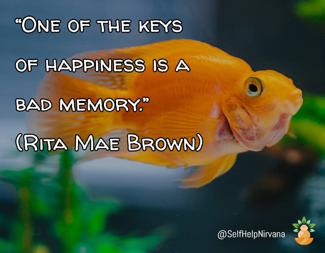 Illustrated quote by Rita Mae Brown about happiness