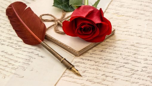 Red rose flower, old letters and antique feather pen